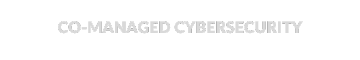 CO-MANAGED CYBERSECURITY