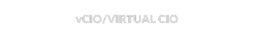 VCIO-VIRTUAL CIO